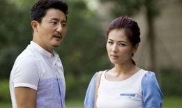 幸福两部曲电视剧全集在线观看26,全集在线观看攻略，解锁26集精彩剧情